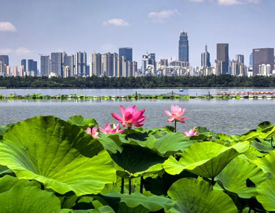 我国牵头制定!全球首个自动驾驶系统全球技术法规获批发布