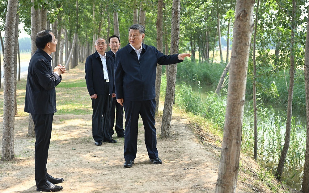 湖南东安26.7万亩早稻喜获丰收