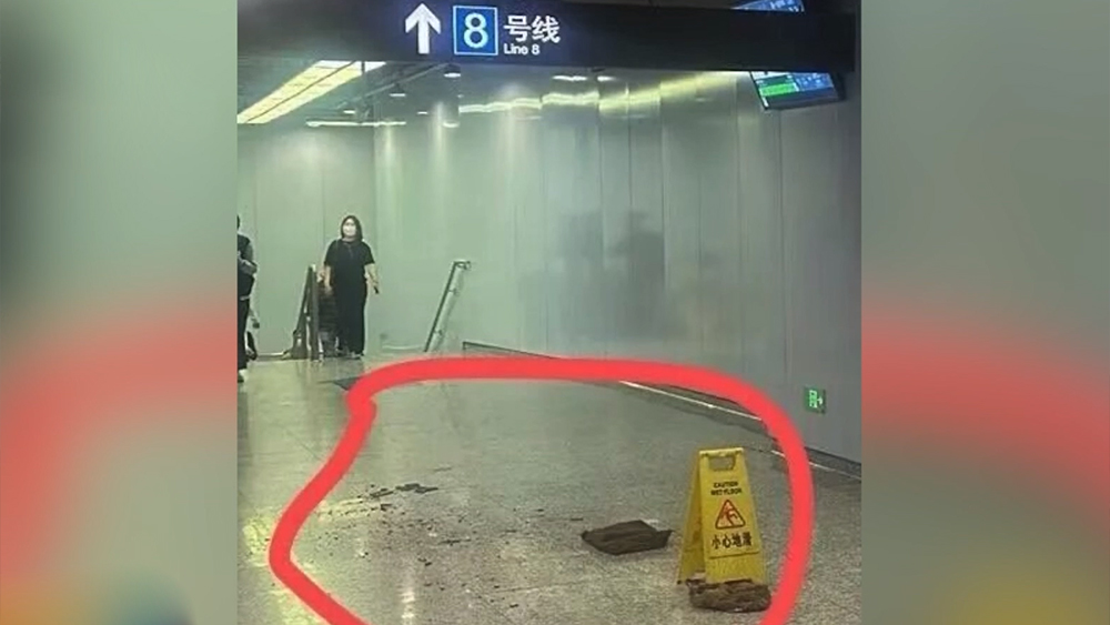 中国的现代化之路既发展自身又造福世界