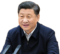 海量高清资源