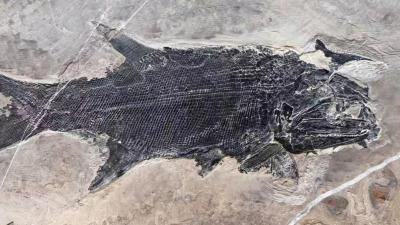 边境线上的“活界碑”魏德友：一句“守到走不动”，让两代接力守山河