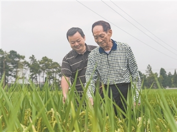 新闻1+1丨“新”商标法审议通过 治理“心机商标”有了新办法