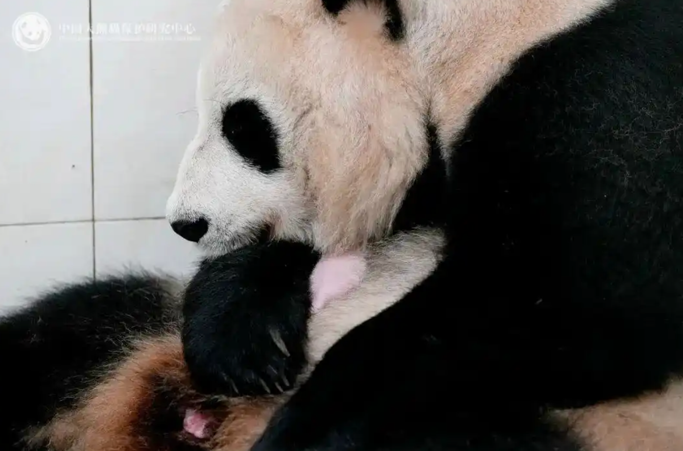 年轻人开始抛弃优衣库