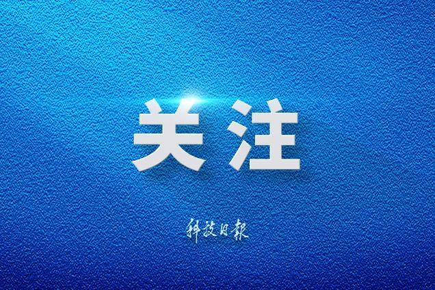 张馨予回应我想我会一直孤单