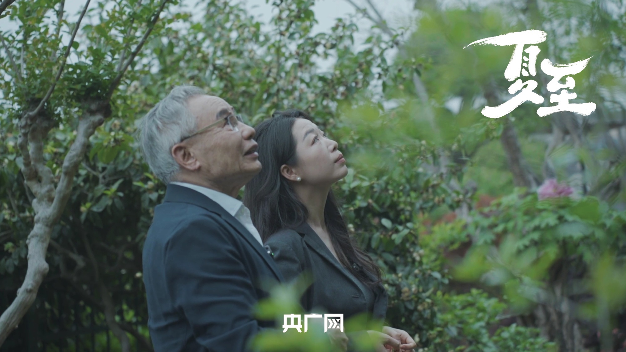 德国连续三天刷新最高气温纪录