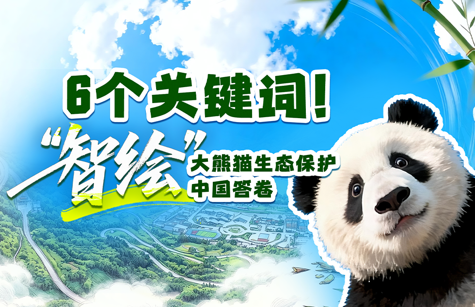 总停播