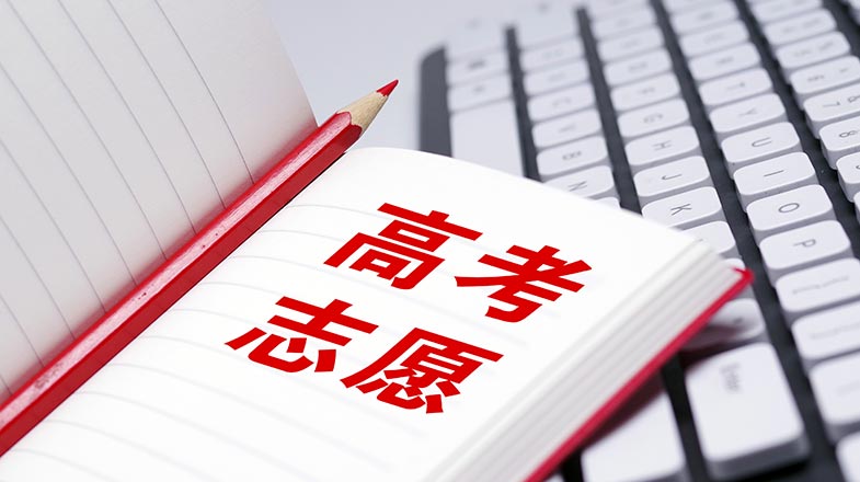 王以太当爸爸了